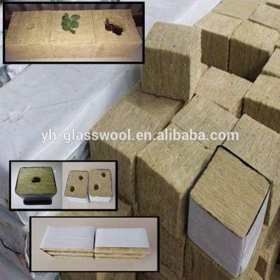 Hydroponic 2 inch rock wool cubes